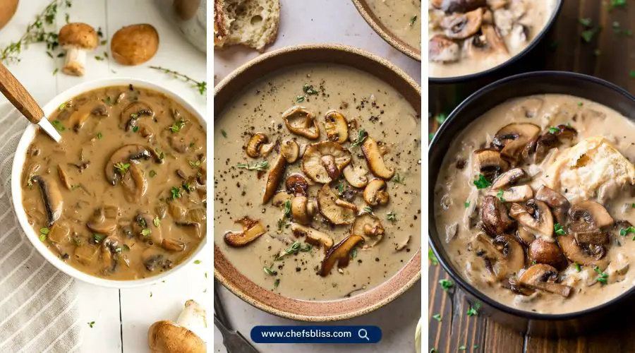 canned mushroom soup recipes