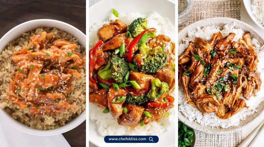 crockpot asian chicken dinner recipes