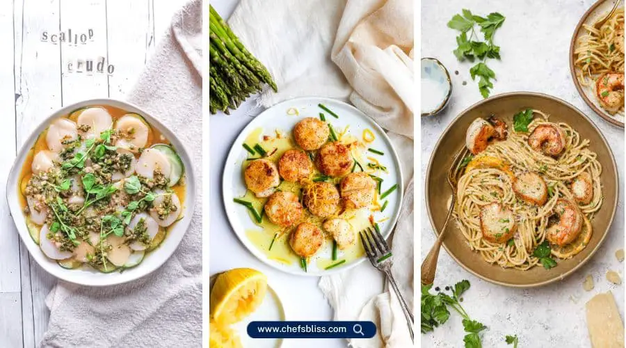 scallop recipes