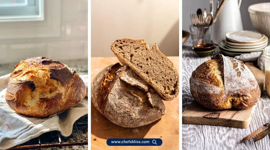 sourdough recipes