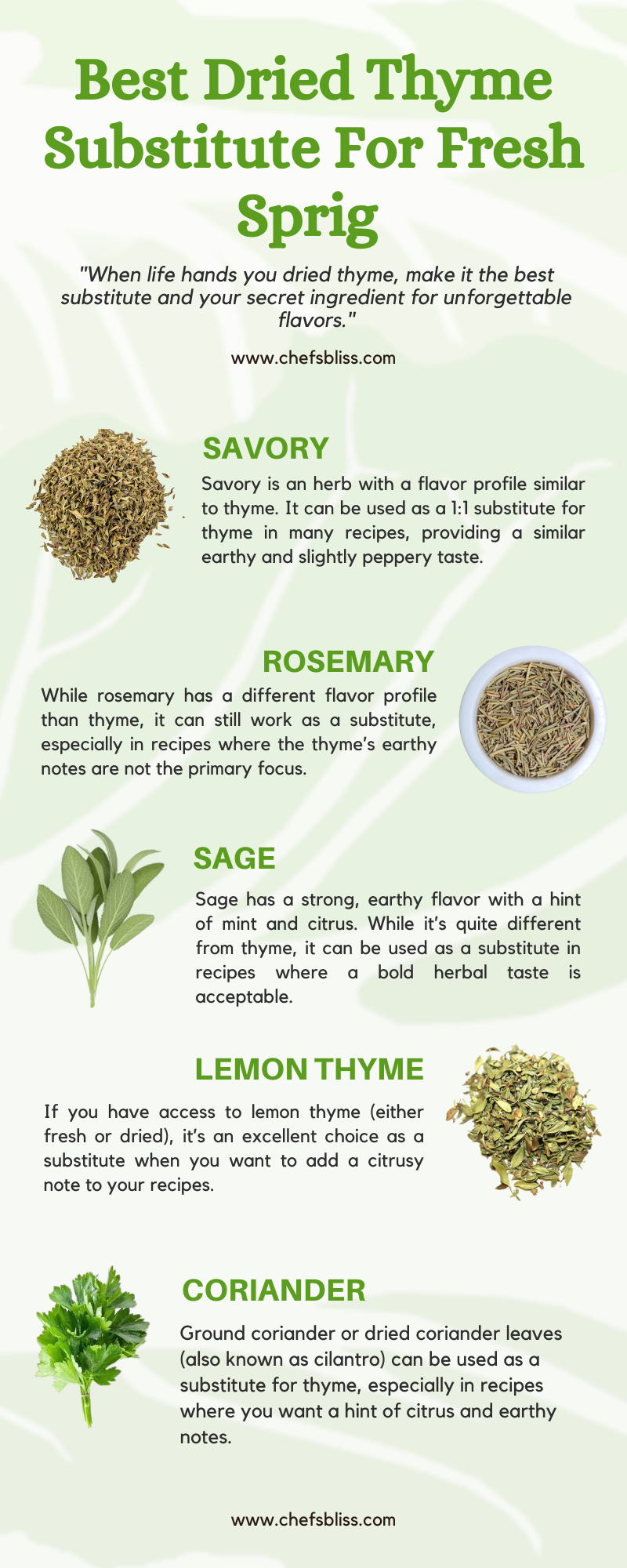 Best Dried Thyme Substitute For Fresh Sprig 