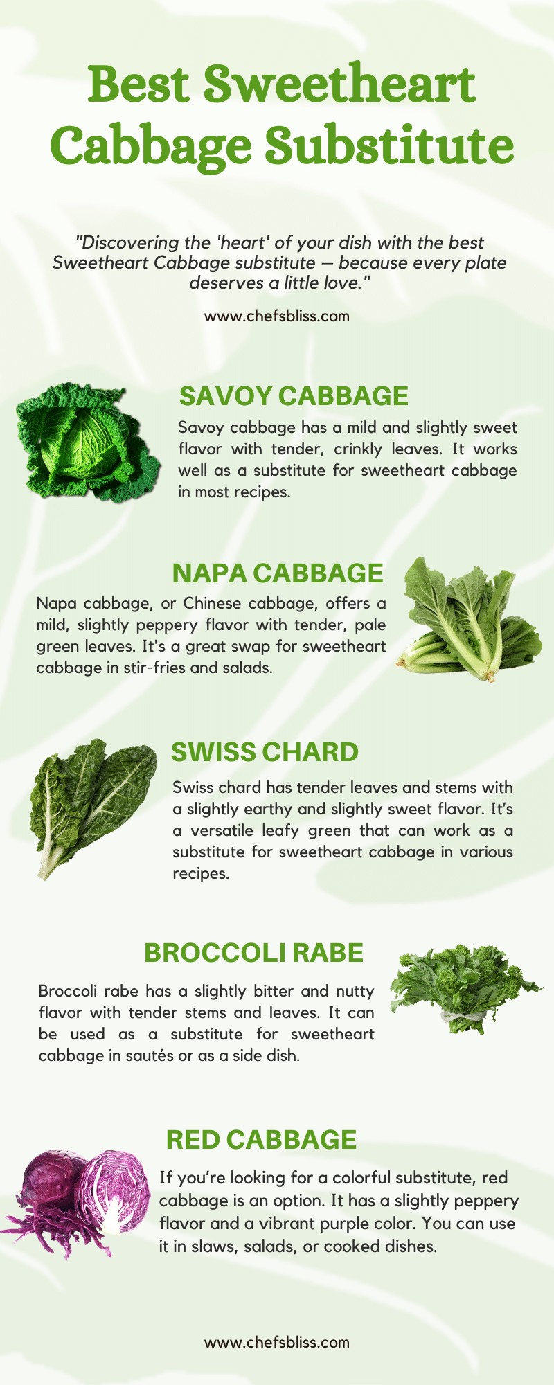 33 Best Sweetheart Cabbage Substitute I Tested ChefsBliss