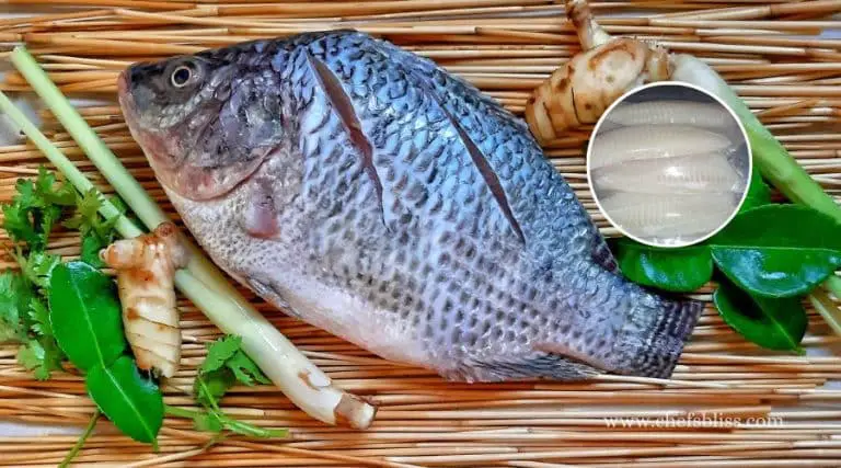 vacuum sealed tilapia in fridge