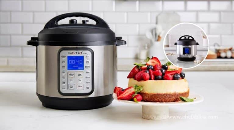 Instant Pot 9 in 1 Vs 7 in 1