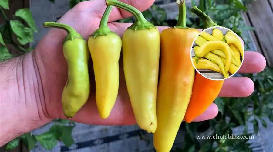 Sport Peppers Vs Banana Peppers