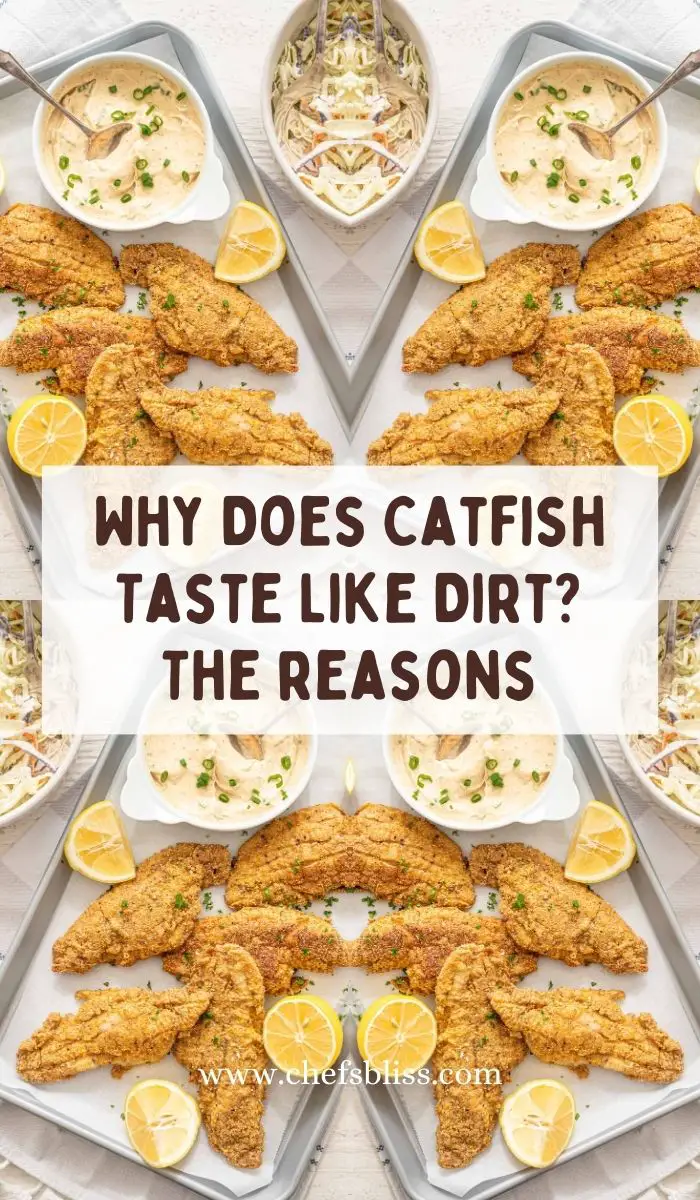 Why Does Catfish Taste Like Dirt 