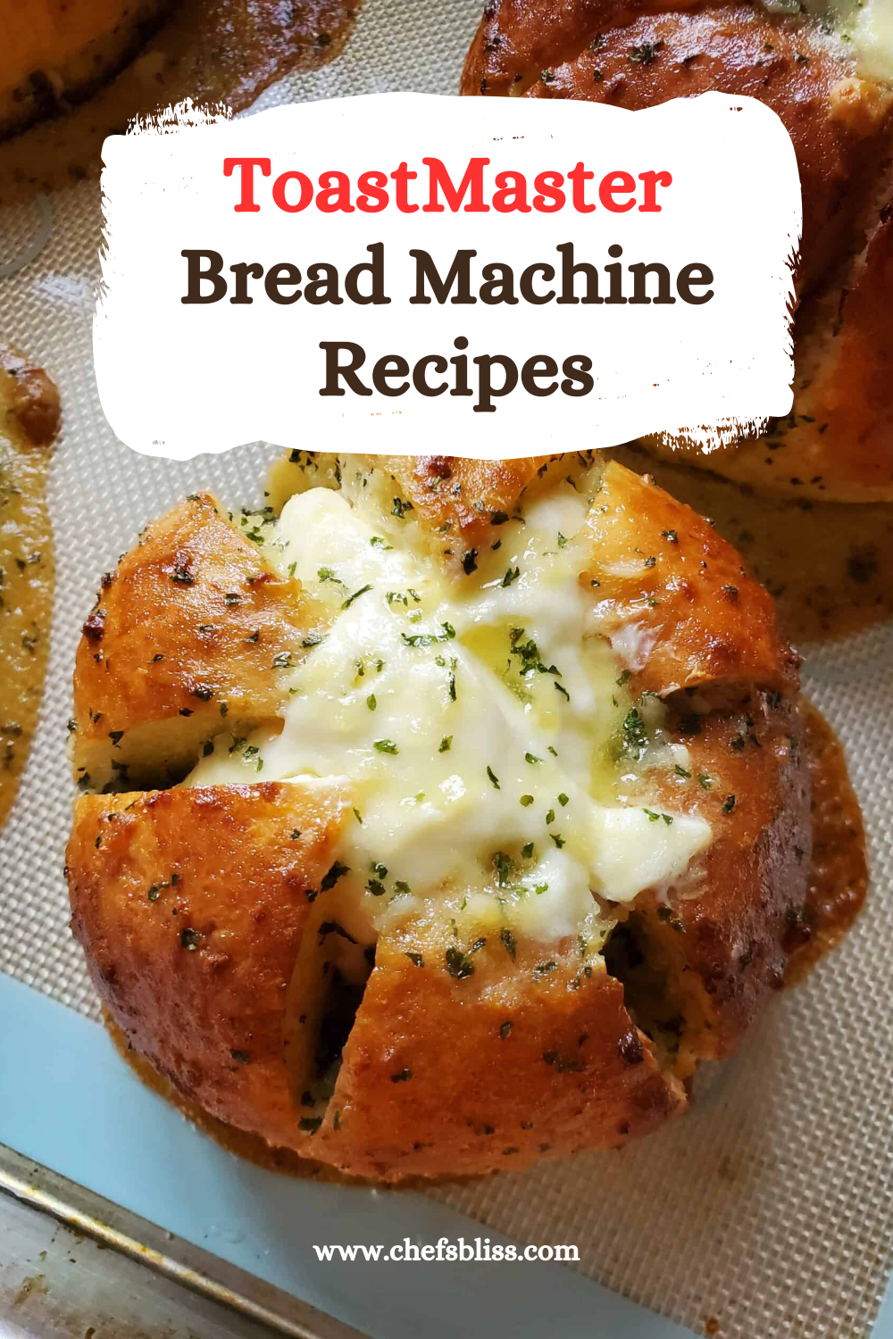 ToastMaster Bread Machine   Recipes
