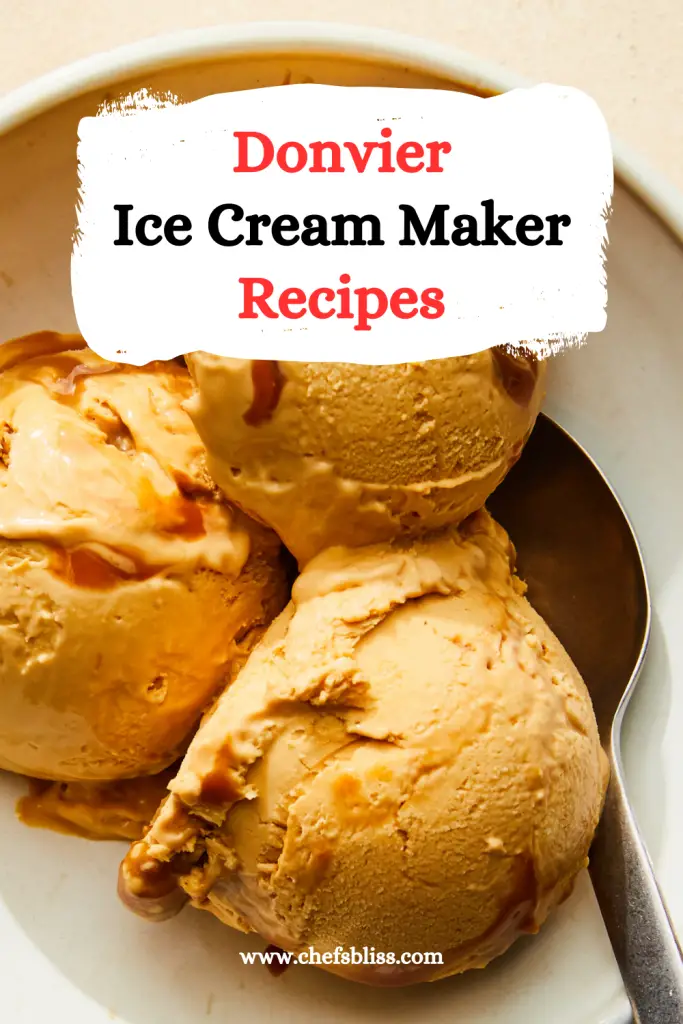 15+ Best Donvier Ice Cream Maker Recipes to Try Now! – ChefsBliss