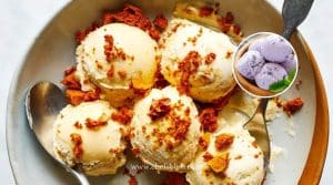 15+ Best Ninja Ice Cream Maker Recipes to Try Now! – ChefsBliss