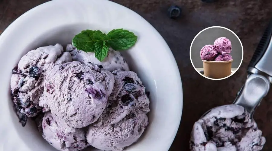 Frozen Yogurt Ice Cream Maker Recipes