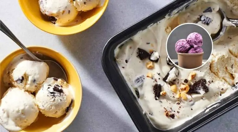 rival ice cream maker recipes