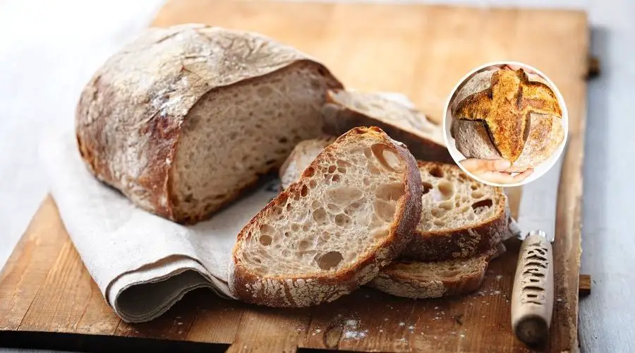 Gluten-Free Sourdough Bread Recipes