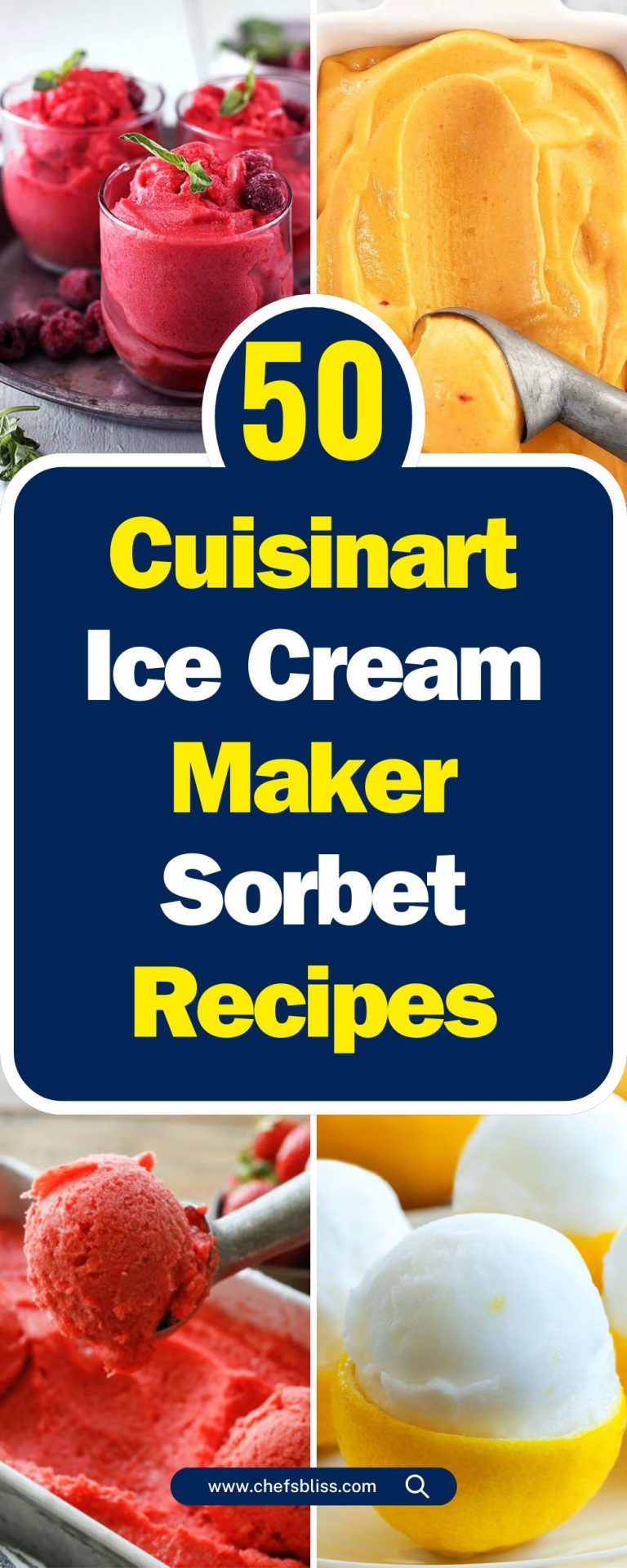 50 Cuisinart Ice Cream Maker Sorbet Recipes For A Refreshing Summer Chefsbliss 8167