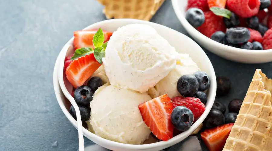 Hamilton Beach Ice Cream Maker Recipes