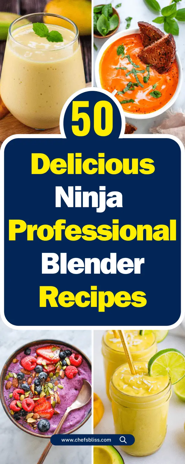 50+ Delicious Ninja Professional Blender Recipes for Every Occasion! ChefsBliss