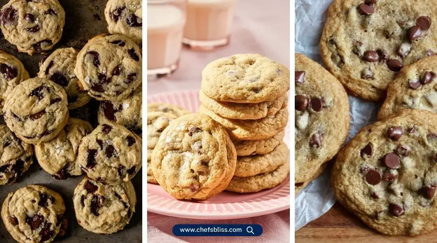 sourdough chocolate chip cookie recipes