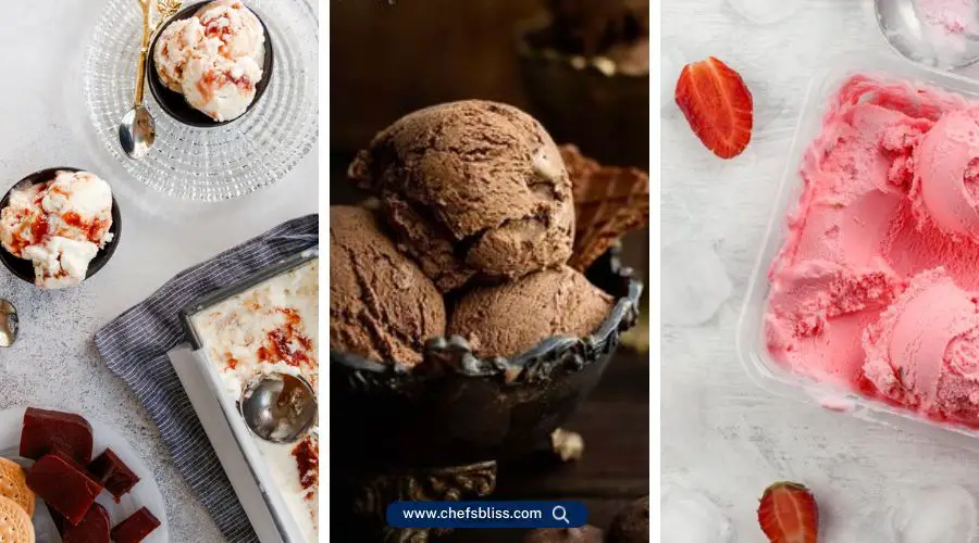 gourmia ice cream maker recipes