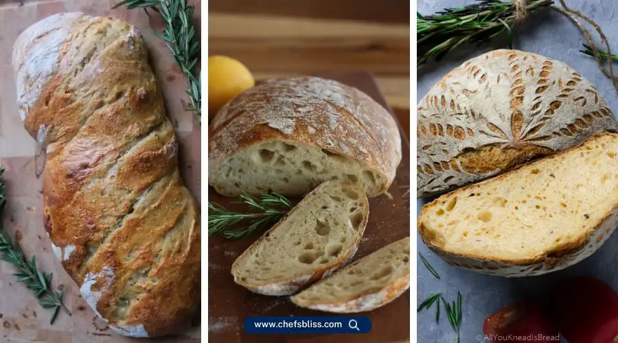 italian sourdough bread recipes