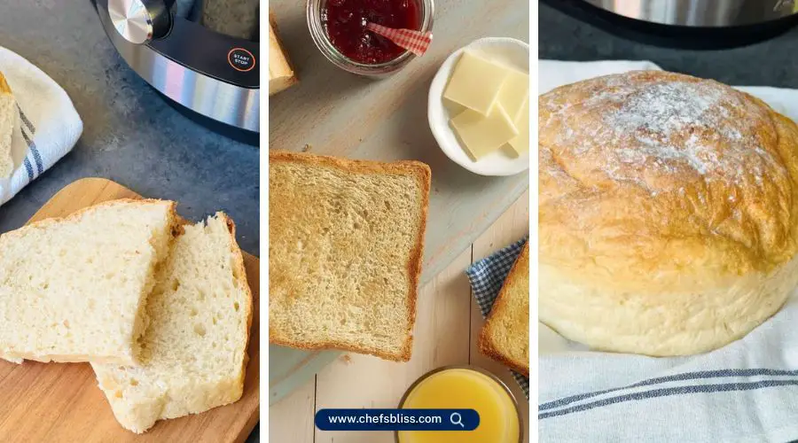 ninja speedi bread recipes