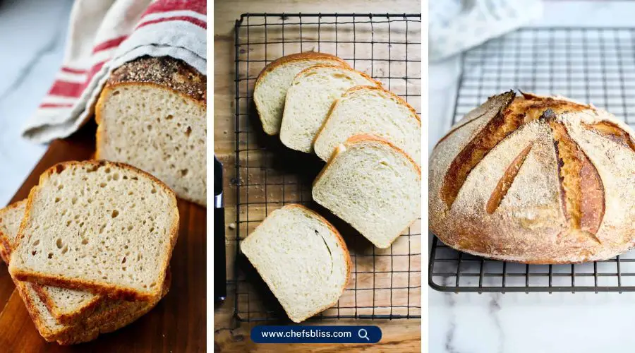 no knead sourdough bread recipes