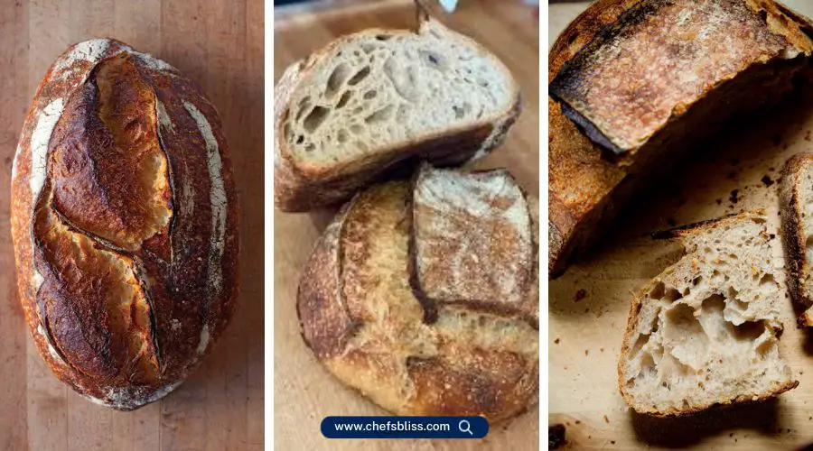 tartine bread recipes