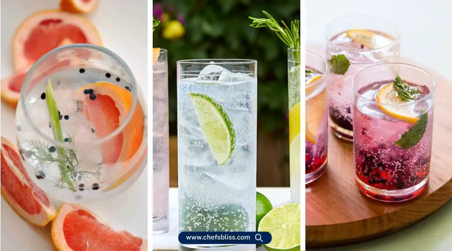 winter gin and tonic recipes