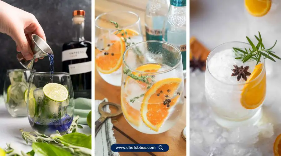 gin and tonic recipes