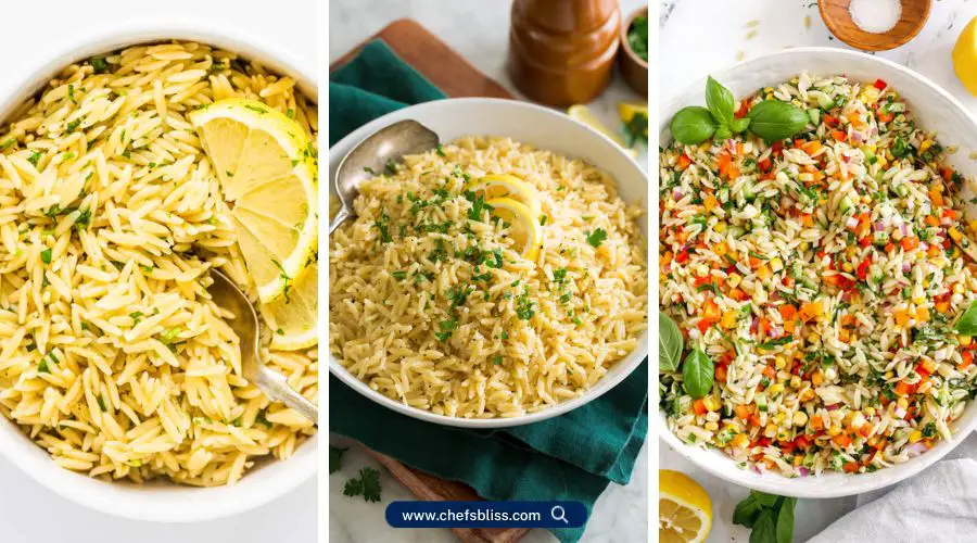 orzo recipes