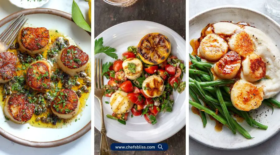 scallop recipes