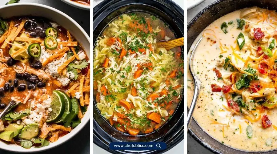 slow cooker chicken soup recipes