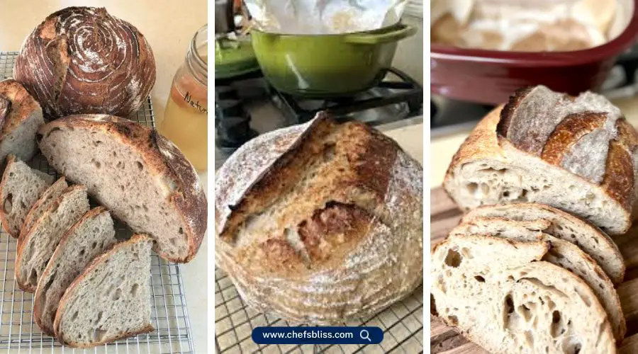 yeast water bread recipes