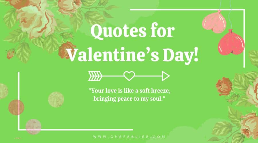 Copy of valentine’s day deep love quotes (16)
