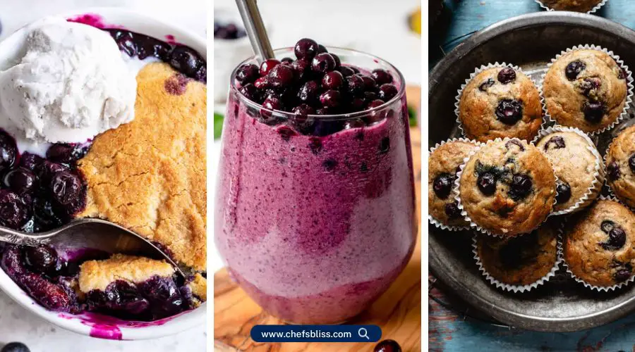 paleo blueberry recipes