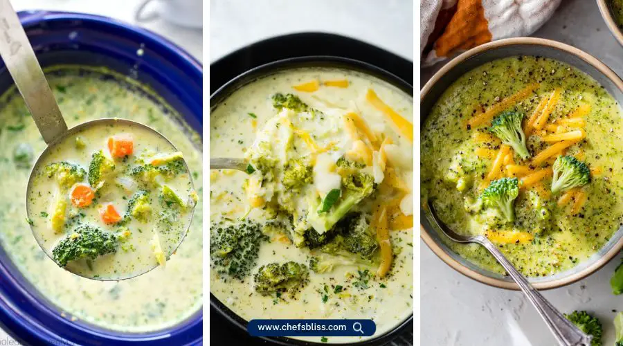 slow cooker broccoli soup recipes