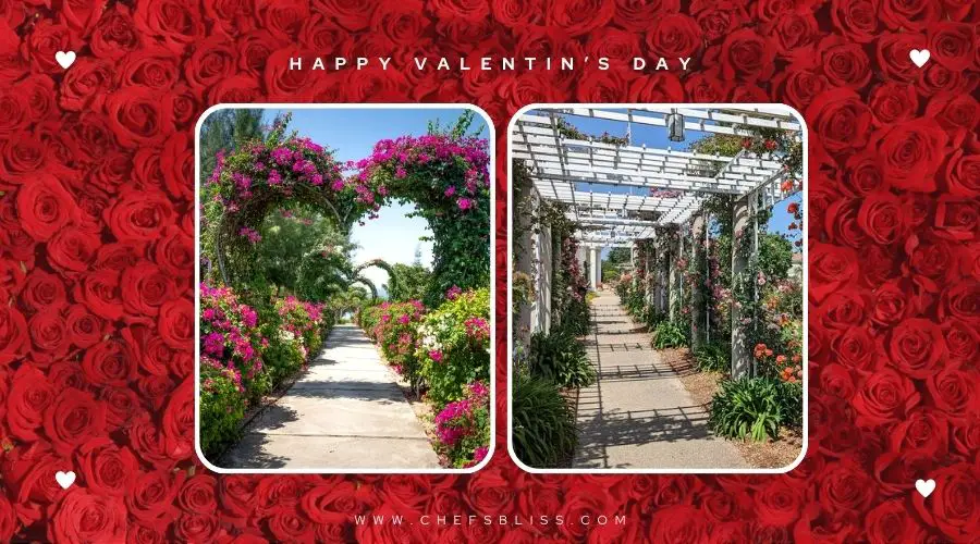 valentine’s day botanical garden visit ideas