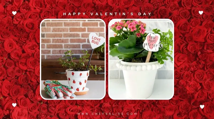 valentine’s day garden DIY flower pots ideas