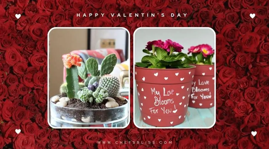 valentine’s day garden DIY flower pots ideas