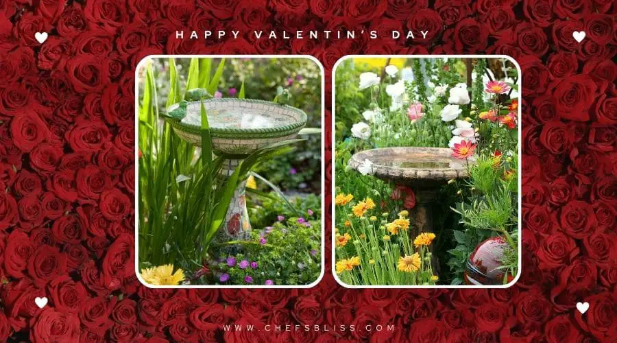valentine’s day garden bird bath ideas