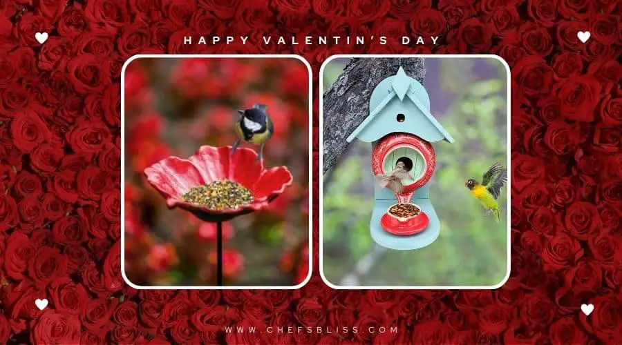 valentine’s day garden bird feeders ideas