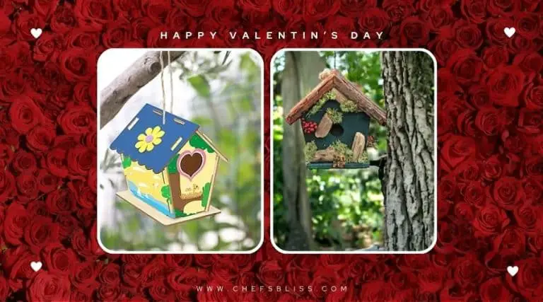 valentine’s day garden birdhouse ideas