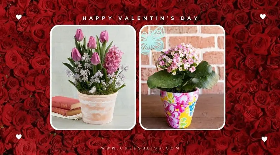 valentine’s day garden clay pots ideas