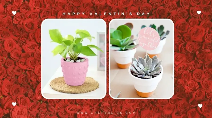 valentine’s day garden custom plant tags ideas