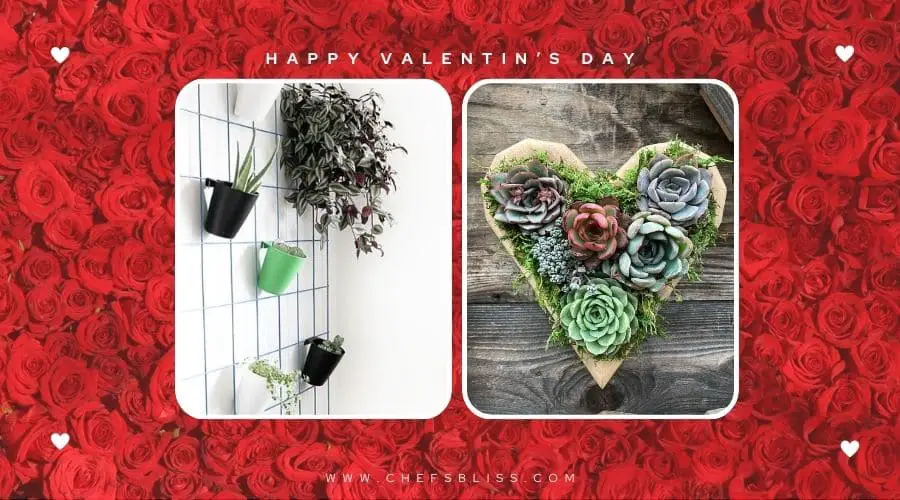valentine’s day garden fence planters ideas