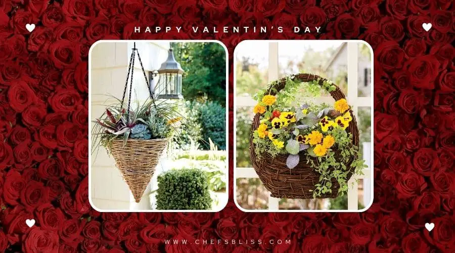 valentine’s day garden hanging baskets ideas