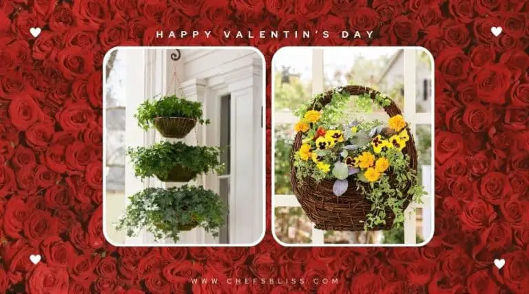 valentine’s day garden hanging planters ideas