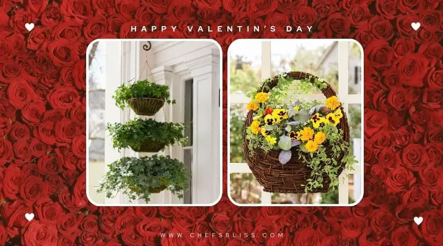 valentine’s day garden hanging planters ideas