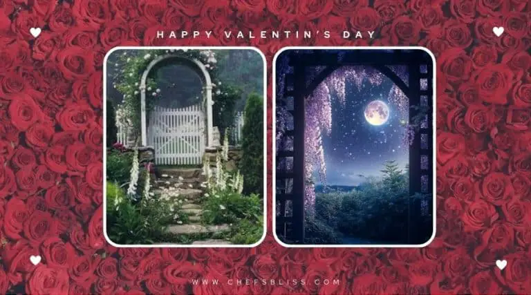 valentine’s day garden moonlight garden ideas