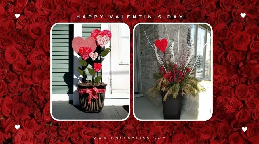 valentine’s day garden plant wall ideas