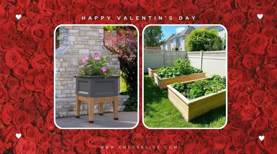 valentine’s day garden raised bed ideas
