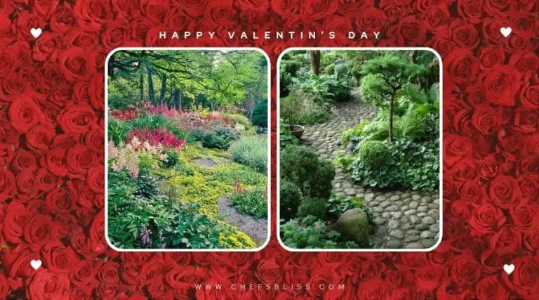 valentine’s day garden shade ideas
